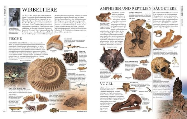 Produktbild: Steine & Mineralien