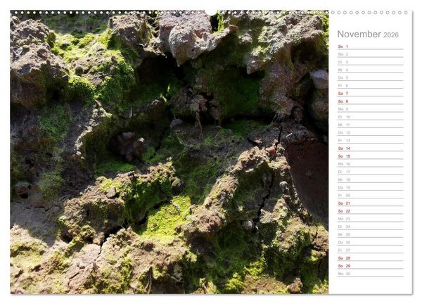 Produktbild: Abstrakte Umwelt (Wandkalender 2026 DIN A2 quer), CALVENDO Monatskalender