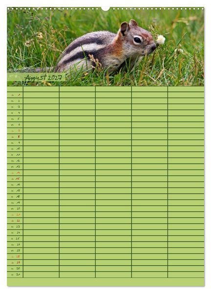 Produktbild: Tierischer Familienplaner (Wandkalender 2027 DIN A2 hoch), CALVENDO Monatskalender