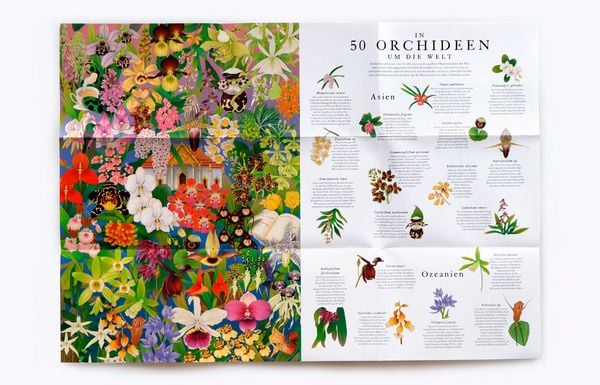 Produktbild: In 50 Orchideen um die Welt