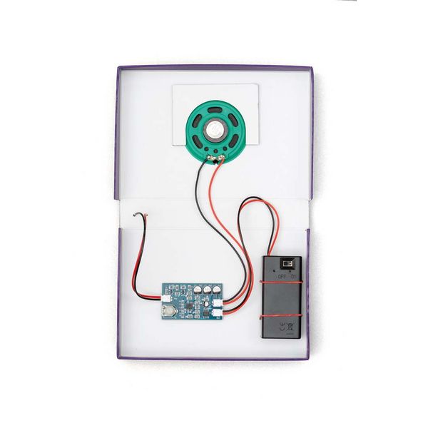 Produktbild: FRANZIS 67248 - CheXperiment Fledermaus-Check