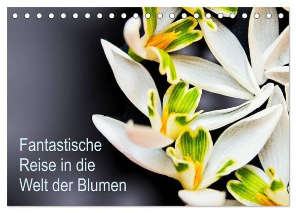 Produktbild: Fantastische Reise in die Welt der Blumen (Tischkalender 2026 DIN A5 quer), CALVENDO Monatskalender