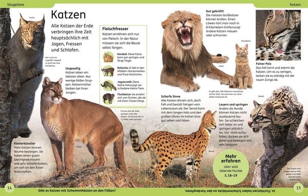 Produktbild: DK Kinderlexikon. Tiere