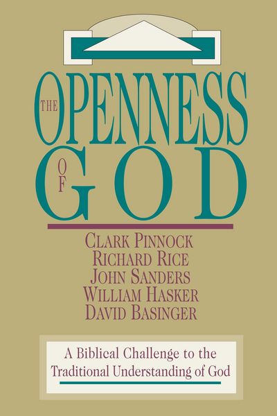 Produktbild: The Openness of God
