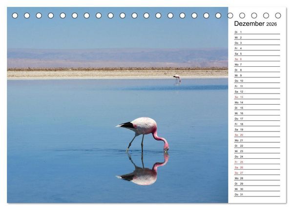 Produktbild: Mein Flamingo Planer (Tischkalender 2026 DIN A5 quer), CALVENDO Monatskalender