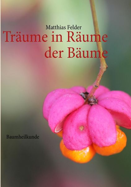 Produktbild: Tr&auml;ume in R&auml;ume der B&auml;ume