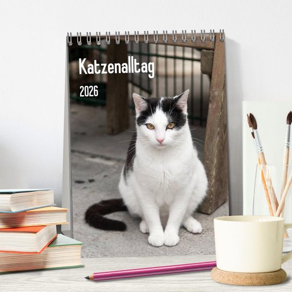 Produktbild: Katzenalltag 2026 (Tischkalender 2026 DIN A5 hoch), CALVENDO Monatskalender