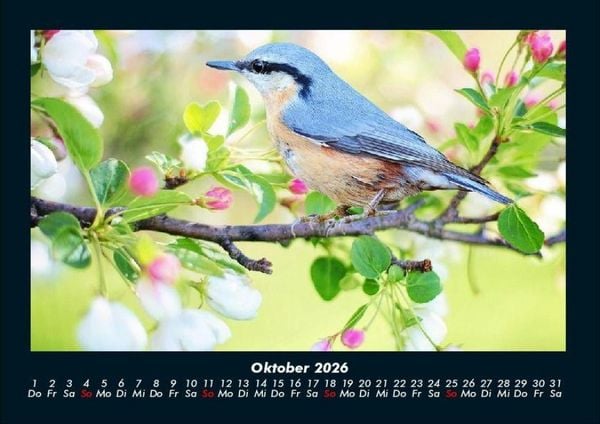 Produktbild: Vogelparadies 2026 Fotokalender DIN A4
