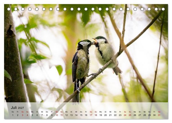 Produktbild: Magische Tiermomente (Tischkalender 2027 DIN A5 quer), CALVENDO Monatskalender