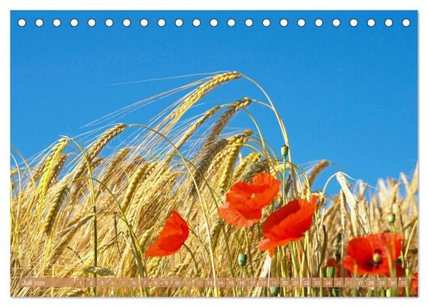 Produktbild: Whisky: Reine Geschmacksache (Tischkalender 2026 DIN A5 quer), CALVENDO Monatskalender