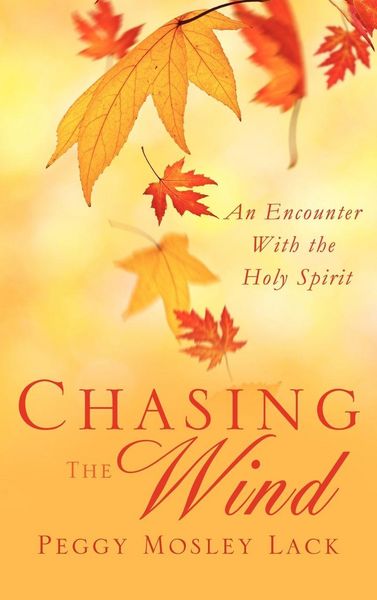 Produktbild: Chasing The Wind