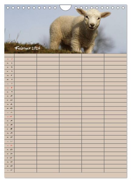 Produktbild: Der bel&auml;mmerte Familienplaner (Wandkalender 2026 DIN A4 hoch), CALVENDO Monatskalender
