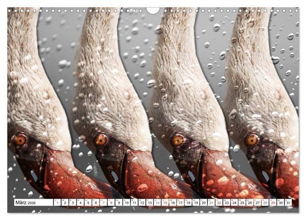Produktbild: Emotionale Momente: African Dreams (Wandkalender 2026 DIN A3 quer), CALVENDO Monatskalender