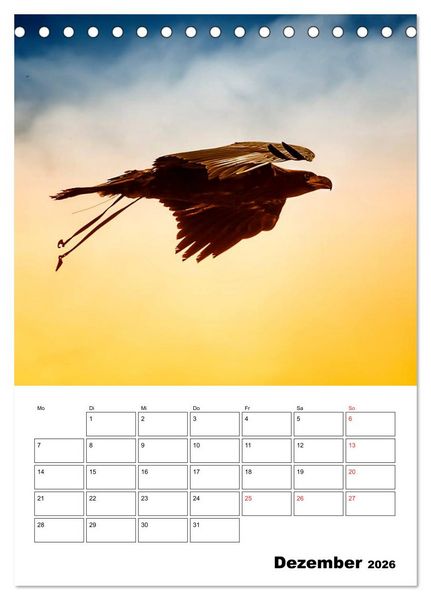 Produktbild: Raub- und Greifv&ouml;gel im Flug (Tischkalender 2026 DIN A5 hoch), CALVENDO Monatskalender