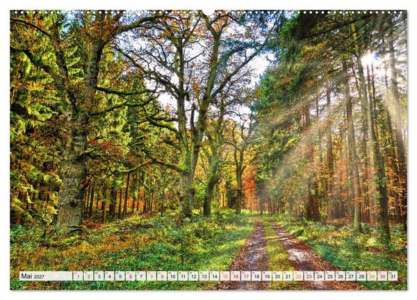 Produktbild: Naturpark Reinhardswald - Wo die Sababurg auf die Weser trifft (Wandkalender 2027 DIN A2 quer), CALVENDO Monatskalender