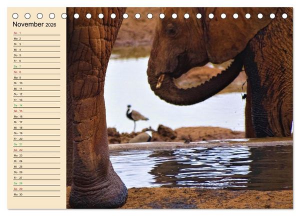 Produktbild: Verr&uuml;ckt nach Safari Verr&uuml;ckt nach Abenteuer in Kenia (Tischkalender 2026 DIN A5 quer), CALVENDO Monatskalender