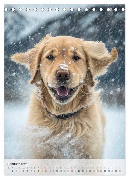 Produktbild: Golden Retriever - ein Hund f&uuml;r die Familie (Tischkalender 2026 DIN A5 hoch), CALVENDO Monatskalender