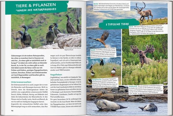 Produktbild: Reisef&uuml;hrer Norwegen