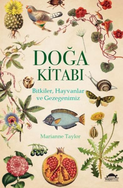 Produktbild: Doga Kitabi