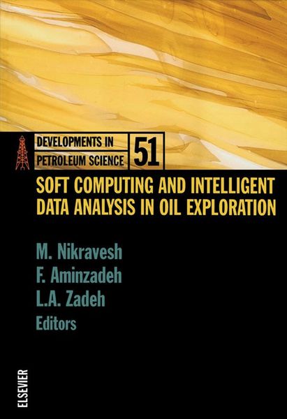 Produktbild: Soft Computing and Intelligent Data Analysis in Oil Exploration