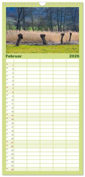 Produktbild: Familienplaner 2026 - B&auml;ume 2026 mit 5 Spalten (Wandkalender, 21 x 45 cm) CALVENDO