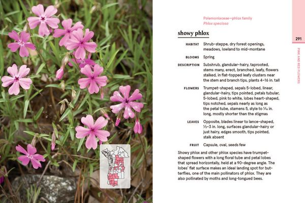 Produktbild: Eastern Washington and Oregon in Bloom