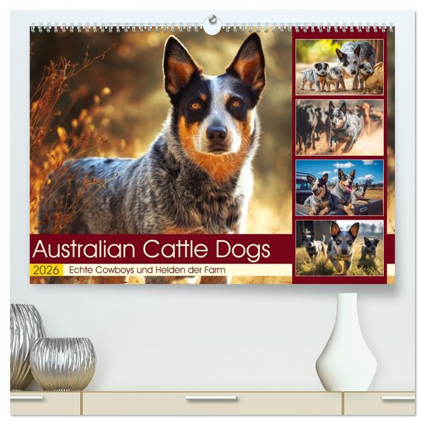 Produktbild: Australian Cattle Dogs. Echte Cowboys und Helden der Farm (hochwertiger Premium Wandkalender 2026 DIN A2 quer), Kunstdruck in Hochglanz