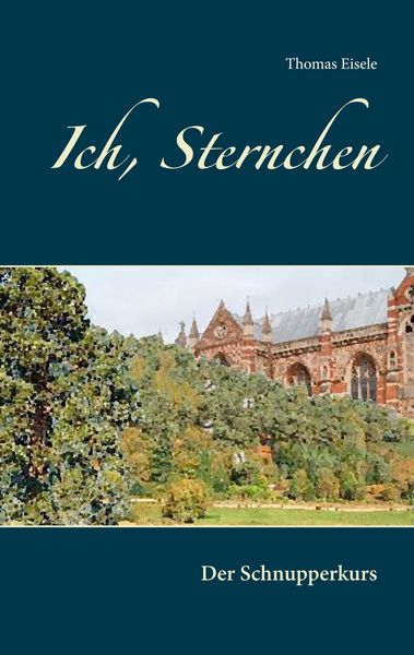 Produktbild: Ich, Sternchen