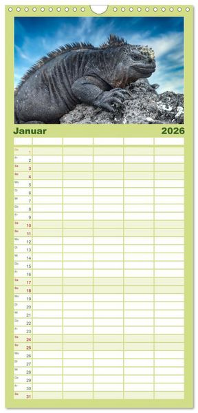 Produktbild: Familienplaner 2026 - Die faszinierende Tierwelt der Galapagos-Inseln mit 5 Spalten (Wandkalender, 21 x 45 cm) CALVENDO