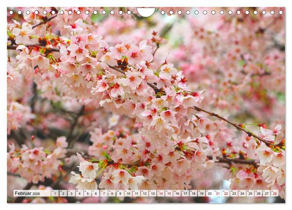 Produktbild: Japan das Land der aufgehenden Sonne (Wandkalender 2026 DIN A4 quer), CALVENDO Monatskalender