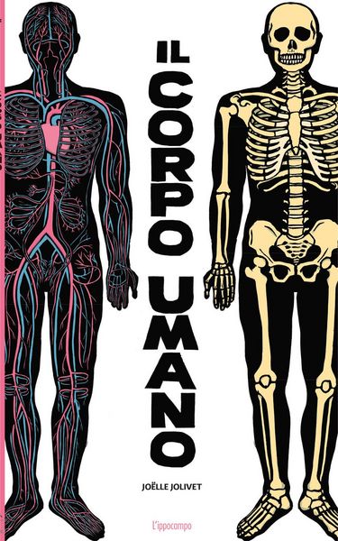 Produktbild: Il corpo umano
