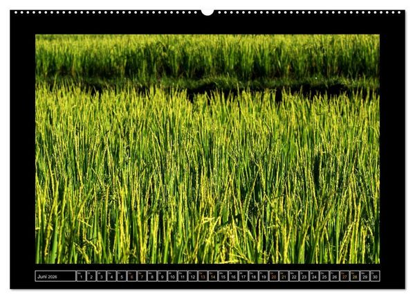 Produktbild: Bali - Details (Wandkalender 2026 DIN A2 quer), CALVENDO Monatskalender