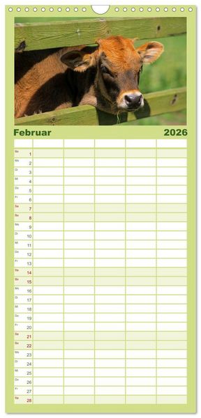 Produktbild: Familienplaner 2026 - Rinder auf dem Lande mit 5 Spalten (Wandkalender, 21 x 45 cm) CALVENDO