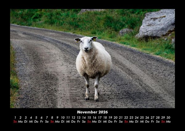 Produktbild: Welt der Tiere 2026 Fotokalender DIN A3