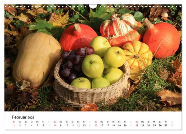 Produktbild: Alte Apfelsorten (Wandkalender 2026 DIN A3 quer), CALVENDO Monatskalender