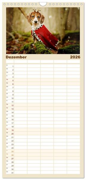 Produktbild: Familienplaner 2026 - Die Dackel daggeln.... mit 5 Spalten (Wandkalender, 21 x 45 cm) CALVENDO