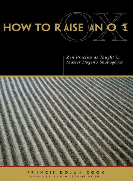 Produktbild: How to Raise an Ox
