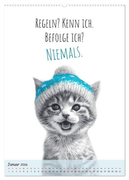 Produktbild: Katzenkult - Coolness auf vier Pfoten (Wandkalender 2026 DIN A2 hoch), CALVENDO Monatskalender