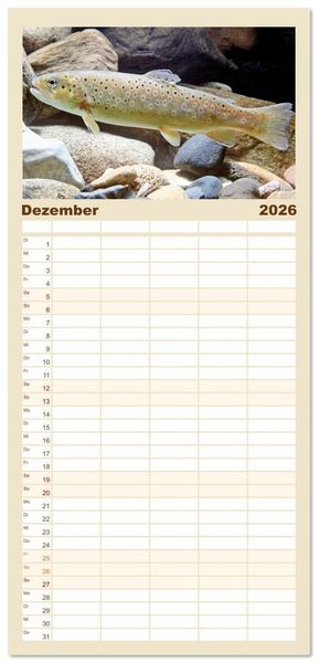 Produktbild: Familienplaner 2026 - Forelle, Hecht und St&ouml;r: Fische in europ&auml;ischen Gew&auml;ssern mit 5 Spalten (Wandkalender, 21 x 45 cm) CALVENDO