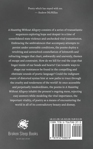 Produktbild: A Haunting Without Allegory