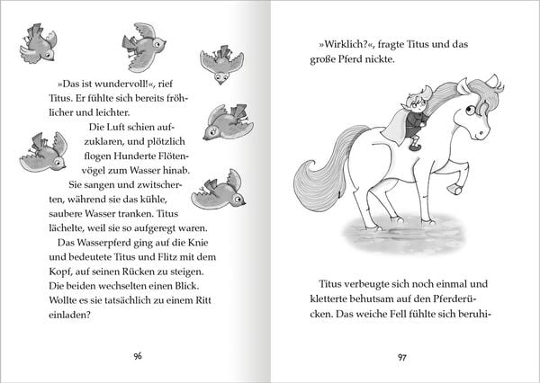 Produktbild: Der kleine Magier – Rettung für das Wasserpferd (Der kleine Magier 2)