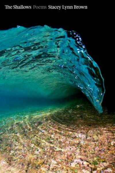 Produktbild: The Shallows: Poems