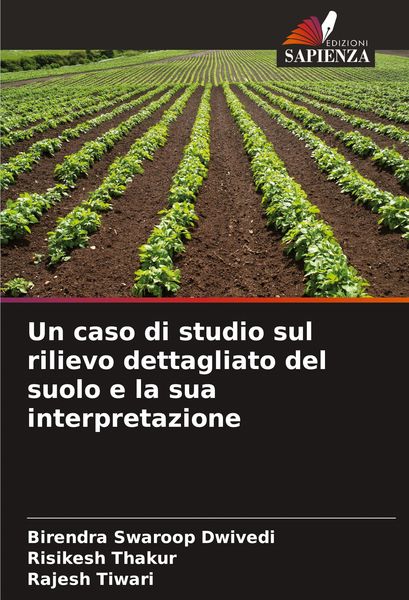 Produktbild: Un caso di studio sul rilievo dettagliato del suolo e la sua interpretazione