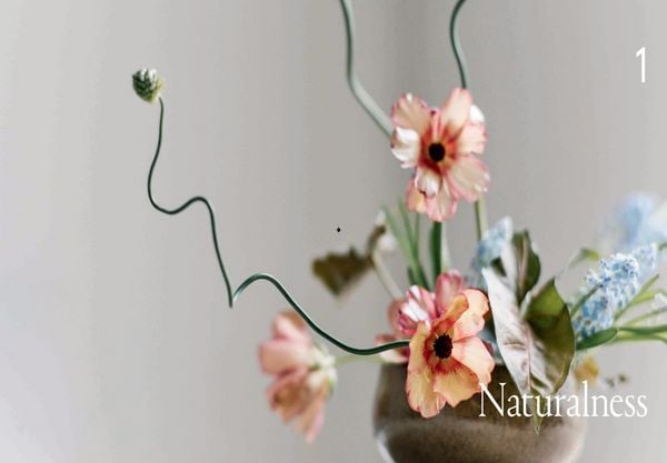 Produktbild: Ikebana Unbound