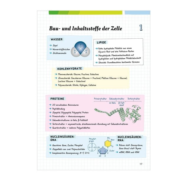 Produktbild: Fit f&uuml;rs Abi