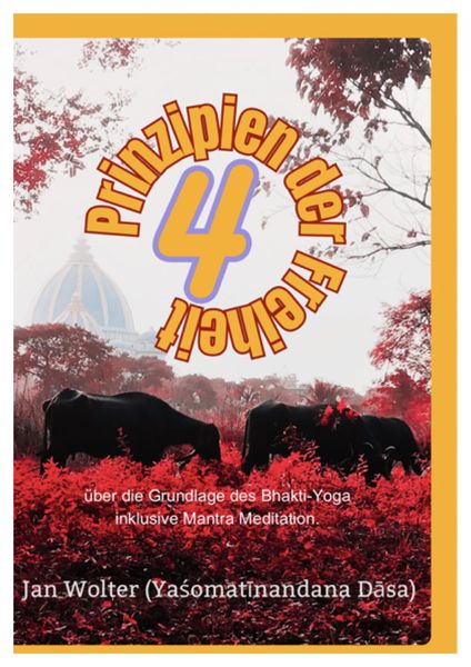 Produktbild: 4 Prinzipien der Freiheit