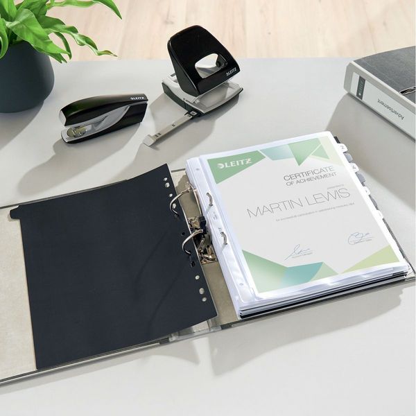 Produktbild: Ordner A4 Leitz grau 52 mm