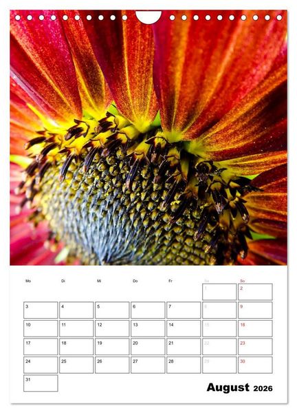 Produktbild: Strahlende Sonnenblumen (Wandkalender 2026 DIN A4 hoch), CALVENDO Monatskalender