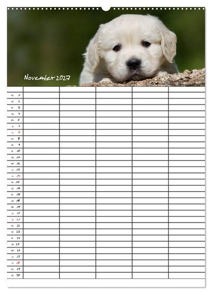 Produktbild: Familienplaner: Golden Retriever Welpen (Wandkalender 2027 DIN A2 hoch), CALVENDO Monatskalender