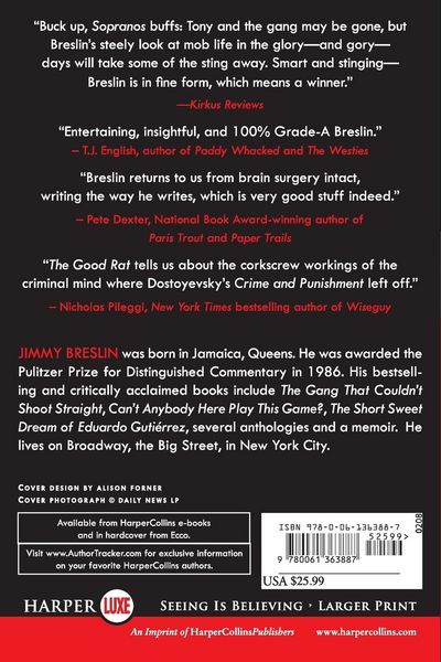 Produktbild: The Good Rat LP